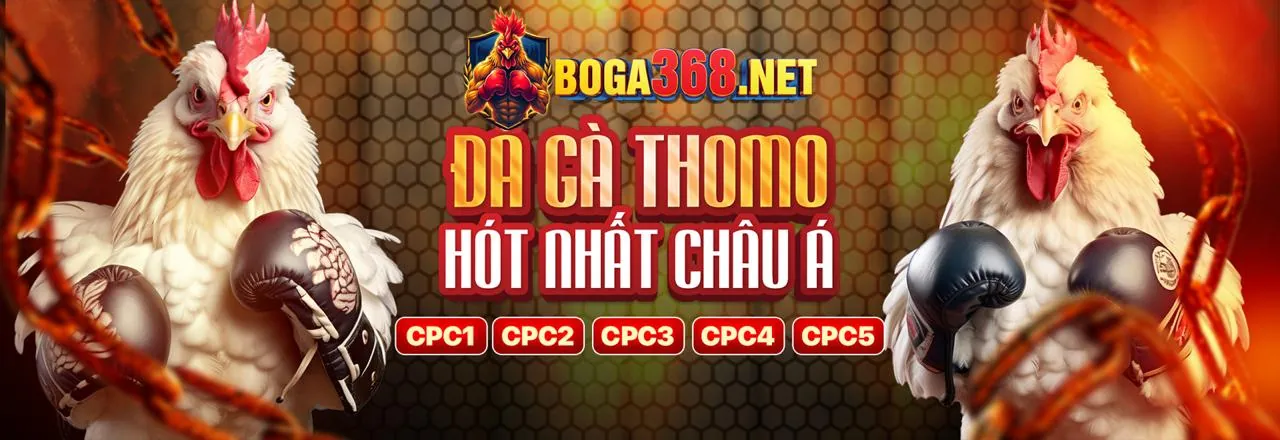 Đá gà trực tuyến Dola777 đăng nhập 2026